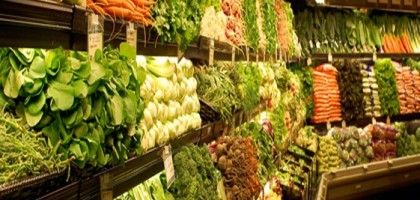 vegetarian-diet1-561x400